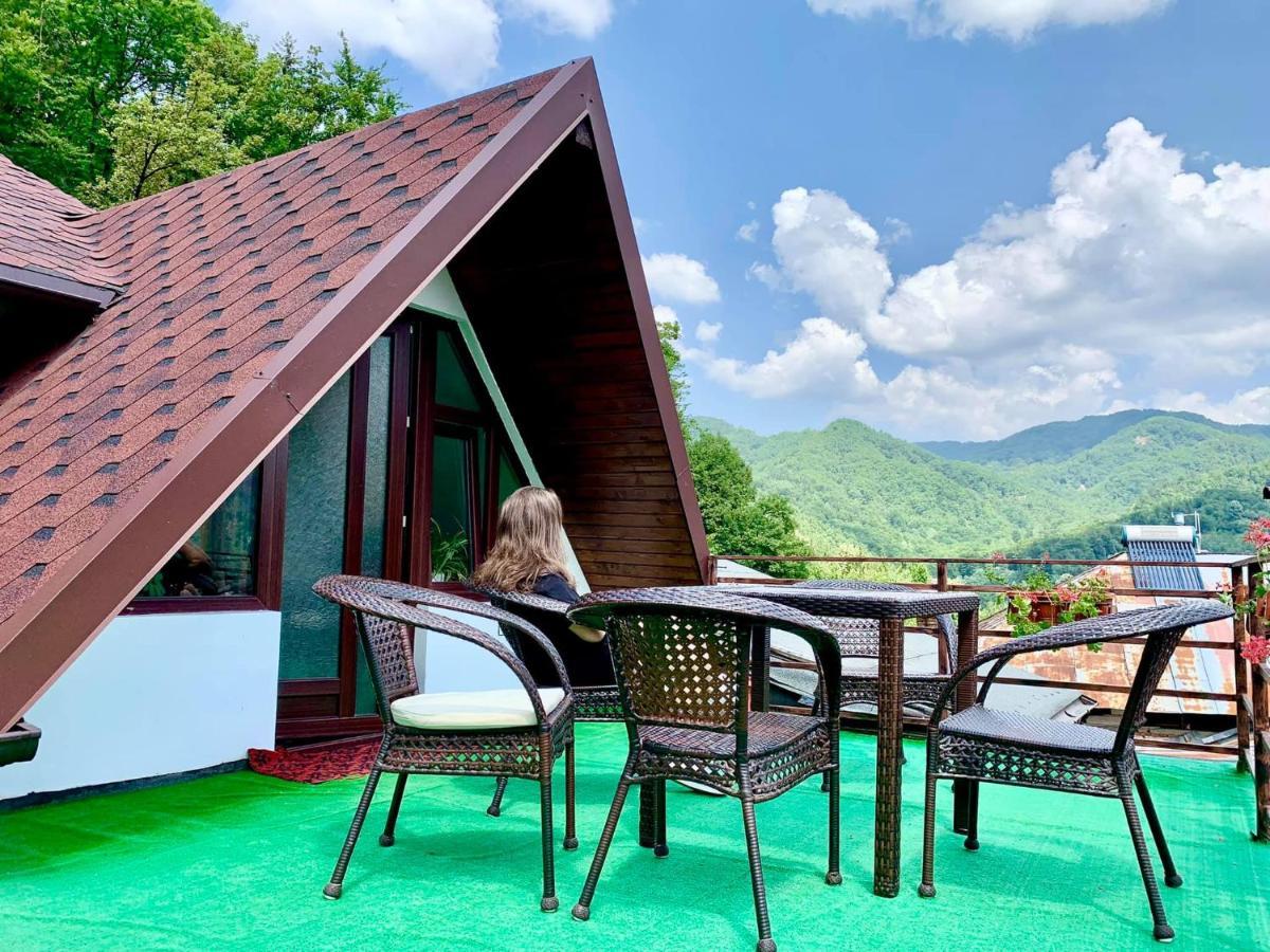 Casa Olanesti Hotel ไบเลโอเลอเนชต์ ภายนอก รูปภาพ