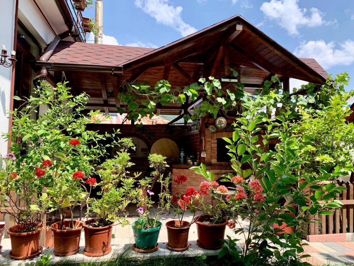 Casa Olanesti Hotel ไบเลโอเลอเนชต์ ภายนอก รูปภาพ