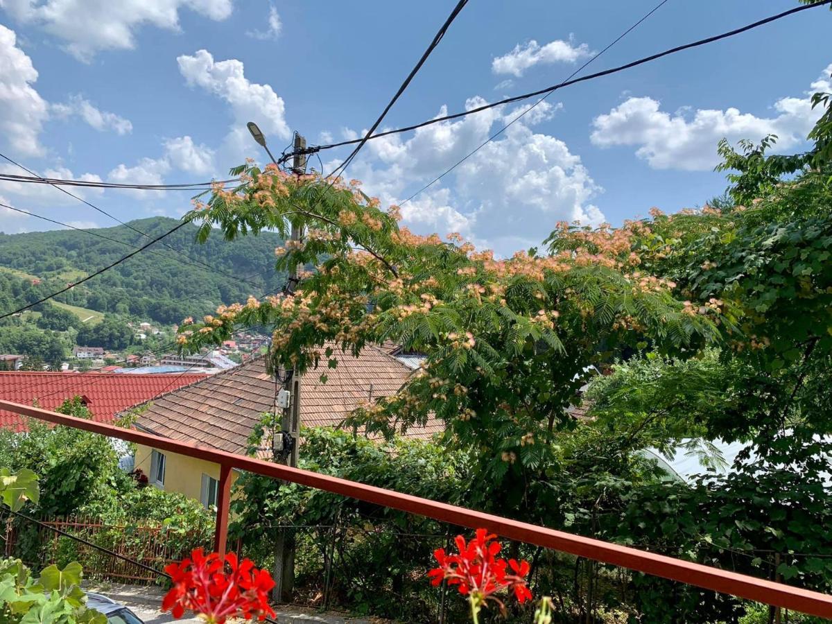 Casa Olanesti Hotel ไบเลโอเลอเนชต์ ภายนอก รูปภาพ